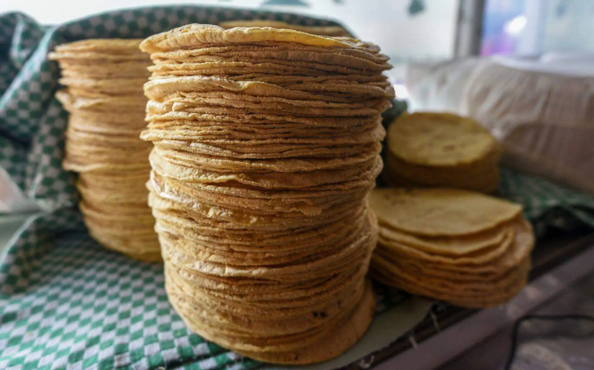 Tonelada de maíz alcanza precio récord kilo de tortilla puede subir a 30 pesos Cuartoscuro  (1)